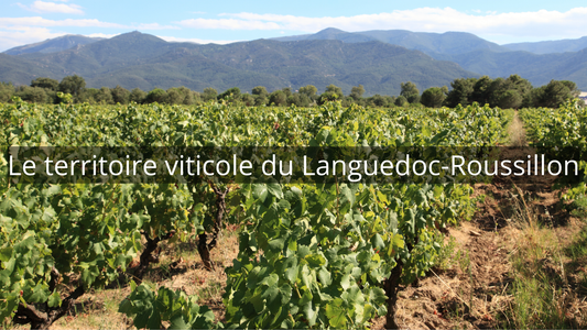 Le territoire viticole du Languedoc-Roussillon